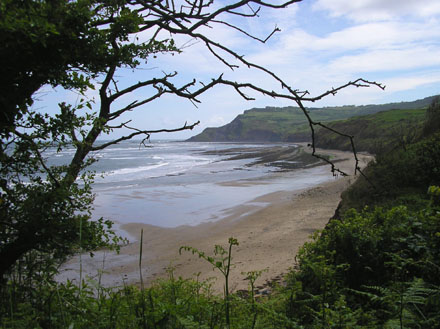 View of the beach